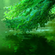 Illustration for article titled iThe Garden of Words:/i The iAni-TAY/i Review